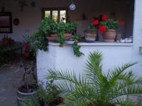 Apartment mit Meerblick