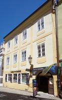 Residence Muzeum Vltavínů, Apartments - Český Krumlov