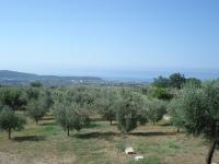 Suite con vistas al mar - Cama extragrande