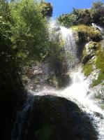 B&B Le Niaouli - B&B