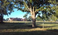 Apartamento Confort