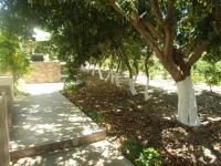 Mantelena studios & family apartments - Ferienwohnung Pollonia