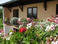 Familiekamer met Tweepersoonsbed