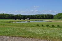 Koebenhovedskov Bed & Breakfast - B&B Rødding