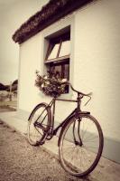 Biddys Cottage - B&B