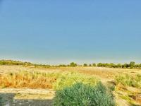 Ampia Camera Matrimoniale