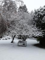 Townhouse mit 3 Schlafzimmern