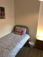 Tower Street Treasure - Bed and Breakfast Belfast