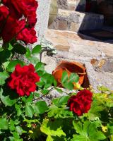 Guest rooms Colorit - B&B Koprivshtitsa