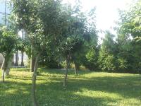Apartments Martina - B&B