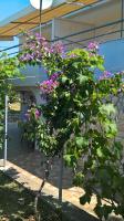 Apartments Krušvina - B&B