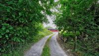 Red Squirrel Lodge - B&B