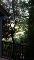Apartments Danka - Bed and Breakfast