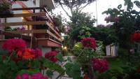 B&B Ostia Antica - B&B Domus Gratiae - Bed and Breakfast Ostia Antica