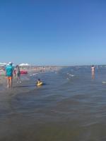 Casa Mister - B&B Sulina