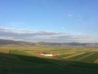 Kavalliera Pensiune - B&B Cotormani