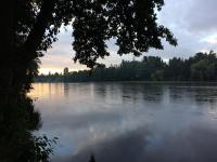 Camping & Hospedaje Rio Laja - B&B El Manzano