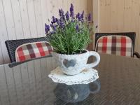 Apartmaji Sušnik - B&B Bled