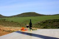 Melkboom Guest Farm - B&B Heidelberg