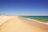 Petit Poisson - B&B Cabanas de Tavira