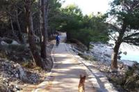 Apartmani Daniela - Bed and Breakfast
