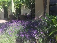 Camera Matrimoniale Deluxe