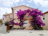 Apartments Bardak - Bed and Breakfast Ližnjan