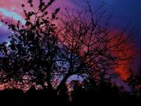 Monolocale (2 Adulti)