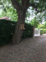 B&B Roermond - B&B Ool Inclusive - Bed and Breakfast Roermond