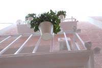 La dimora dei nonni - B&B Monopoli