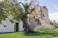 Casina Spiggiano Agriturismo - Ferienwohnung