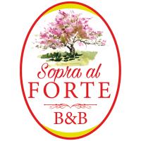 B&B Querceta - sopra al FORTE - Bed and Breakfast Querceta