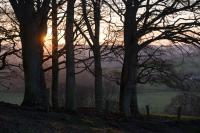 Superior Zimmer mit Kingsize-Bett