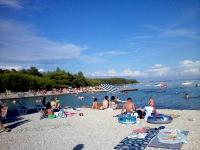 Apartment Kamelia - B&B Vir