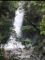 Cabana Santa Matilde - B&B Malalcahuello