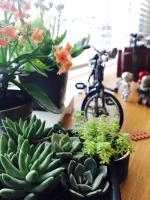 Interval - B&B Wujie