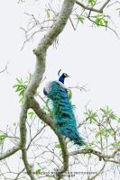 Camera Matrimoniale Deluxe con Balcone