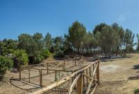 TRULLI CONTI Grande spazio alberato incontaminato- prenotazione esclusiva - Chambres d'hôtes Cisternino