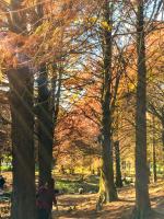 Chambre Lit Queen-Size Deluxe