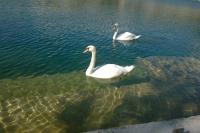 Holiday Home Nana - B&B Bugojno