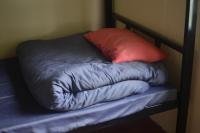 Bunk Bed in Mixed Dormitory Room