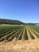 La Grange de Papy - B&B