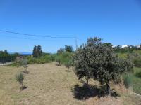 Appartement - Begane Grond