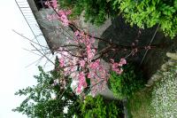 Hi Star Homestay - B&B Hualien City