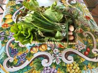 Dimorra Village - B&B Castelvenere