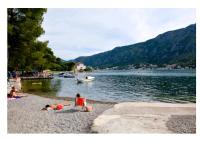 Garden apartmant near sea - B&B Kotor