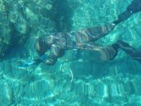 Pacho - B&B Baška Voda