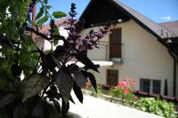 Apartma Center - B&B Plezzo