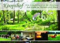 Seerose - Ferienwohnung