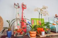 Camera Matrimoniale Standard